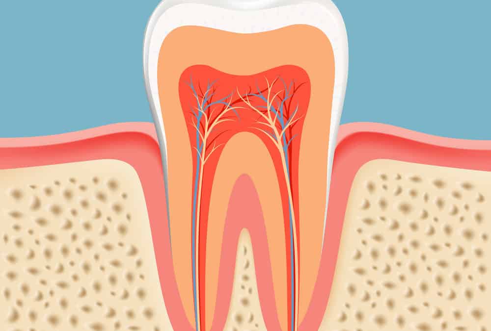 Root Canal Treatment | FAQs Answered By Dr. Kaur